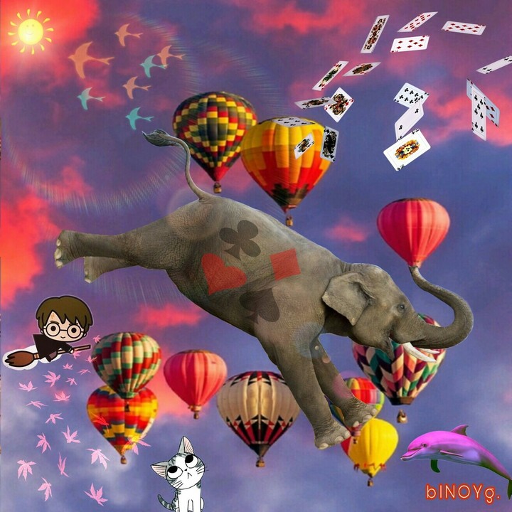 Flight of gamble
