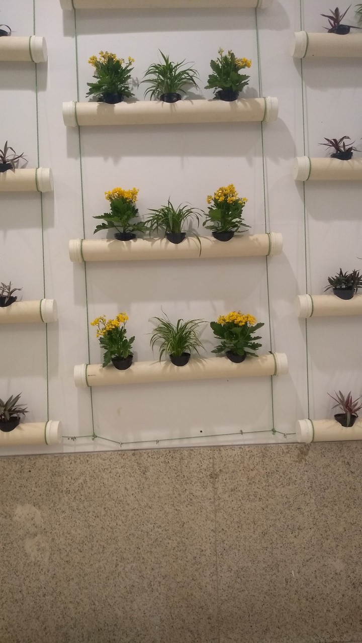 exposição .