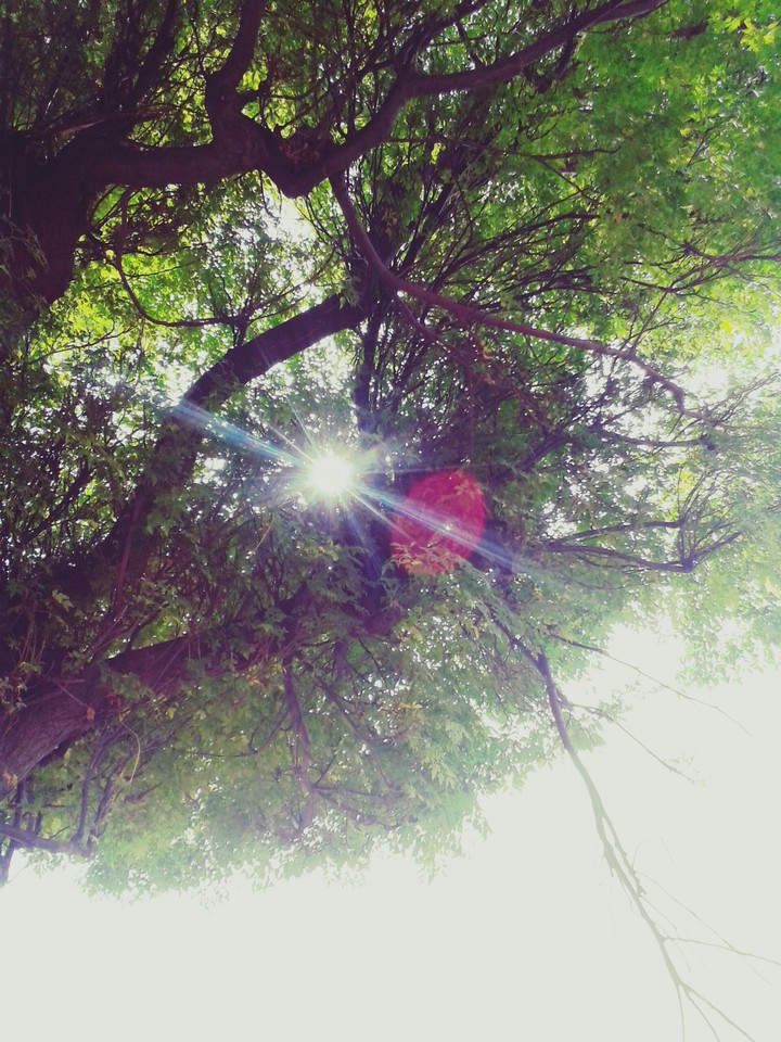 Give me some Sunshine..  Give me some RaYs..
