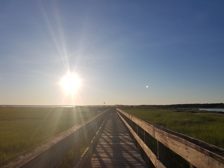 Before sunset