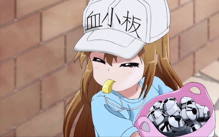 Cells at work !