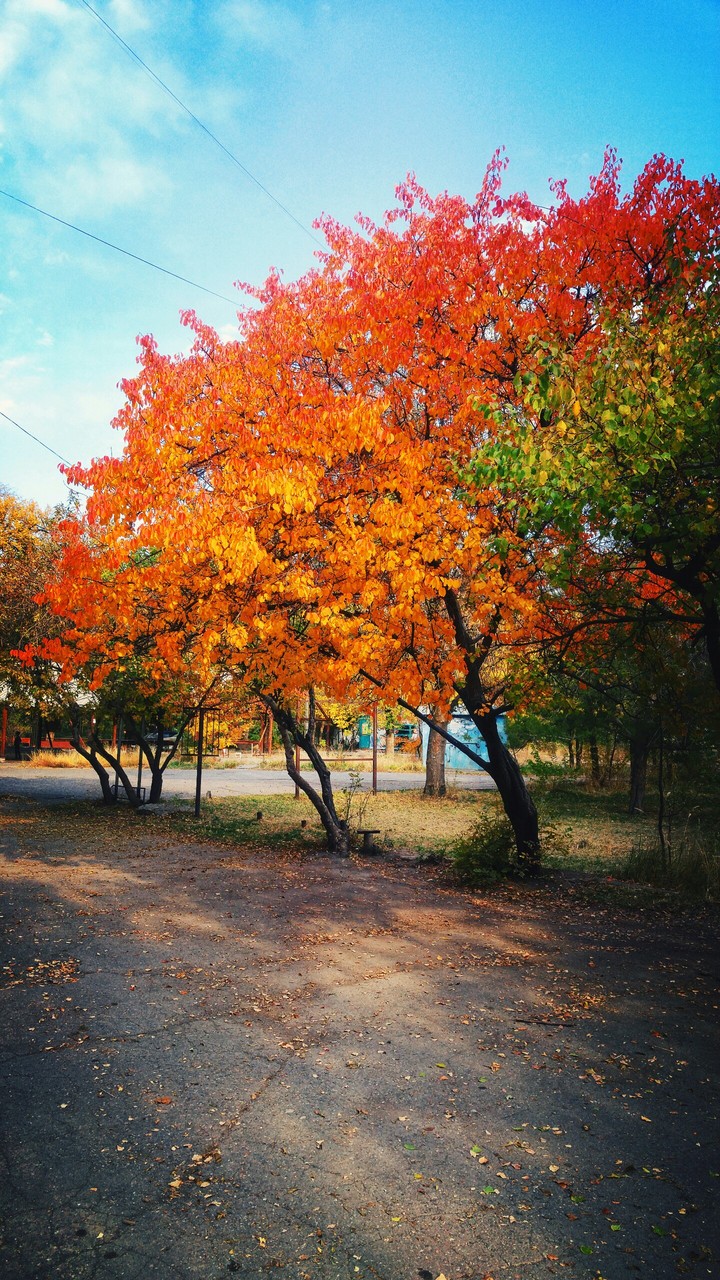 осень