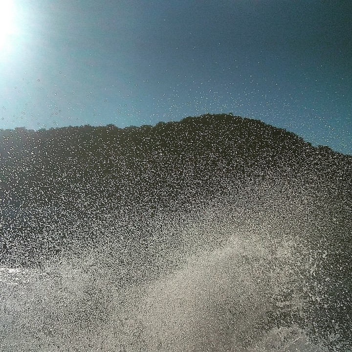 squabbles in the sea