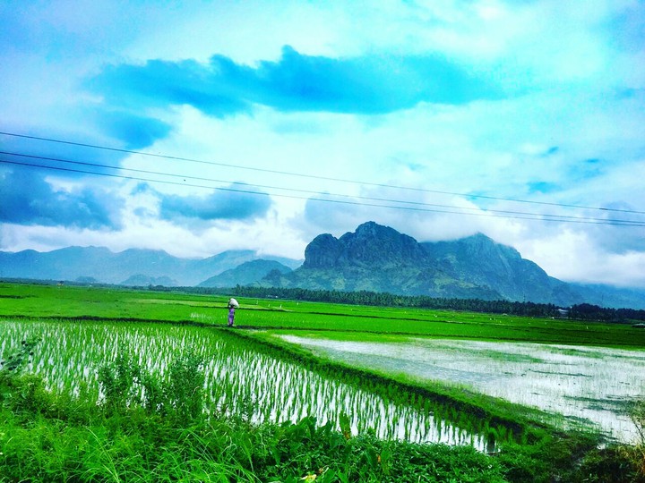 Nature