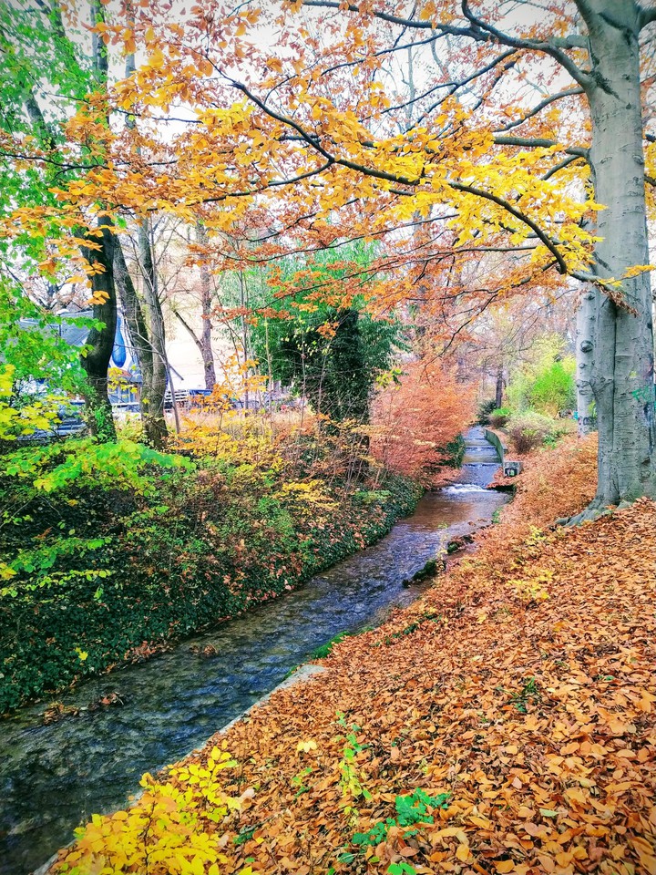 stream of fall