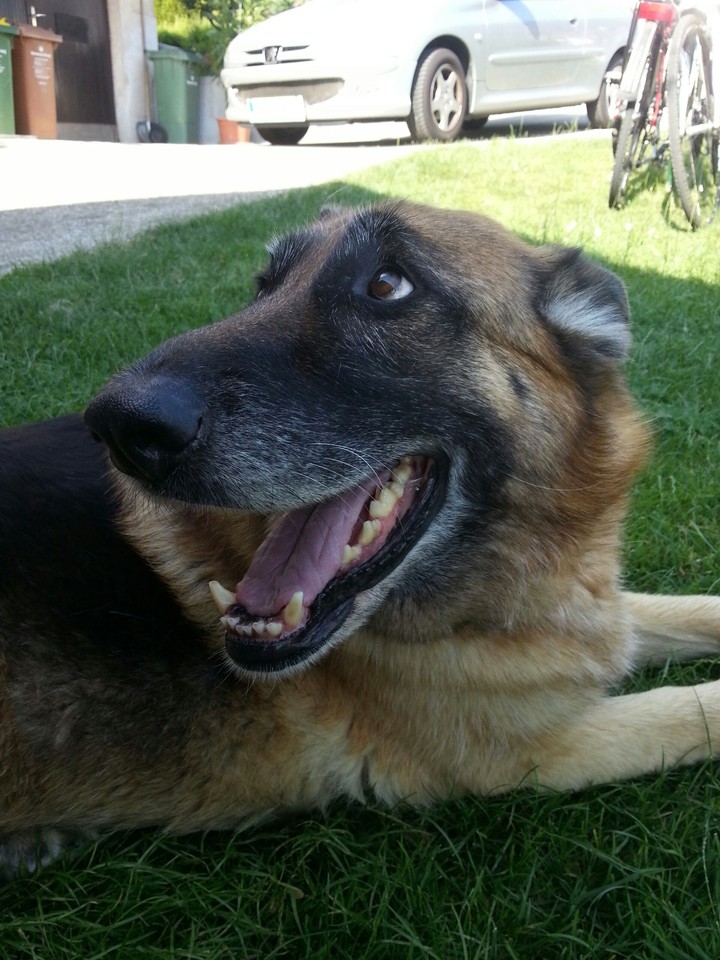 Fida