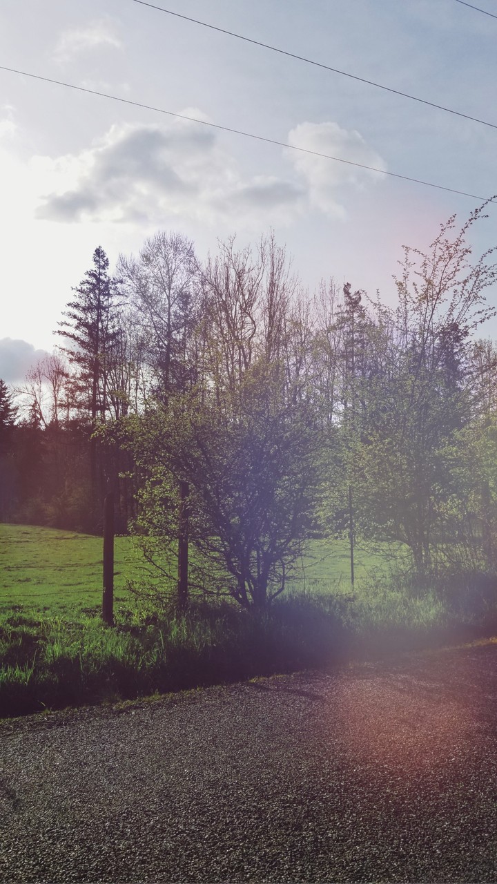 nature