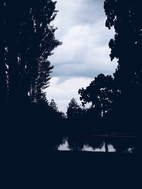 Light in the darkness