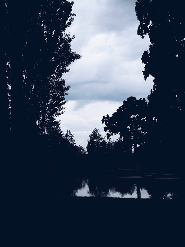 Light in the darkness