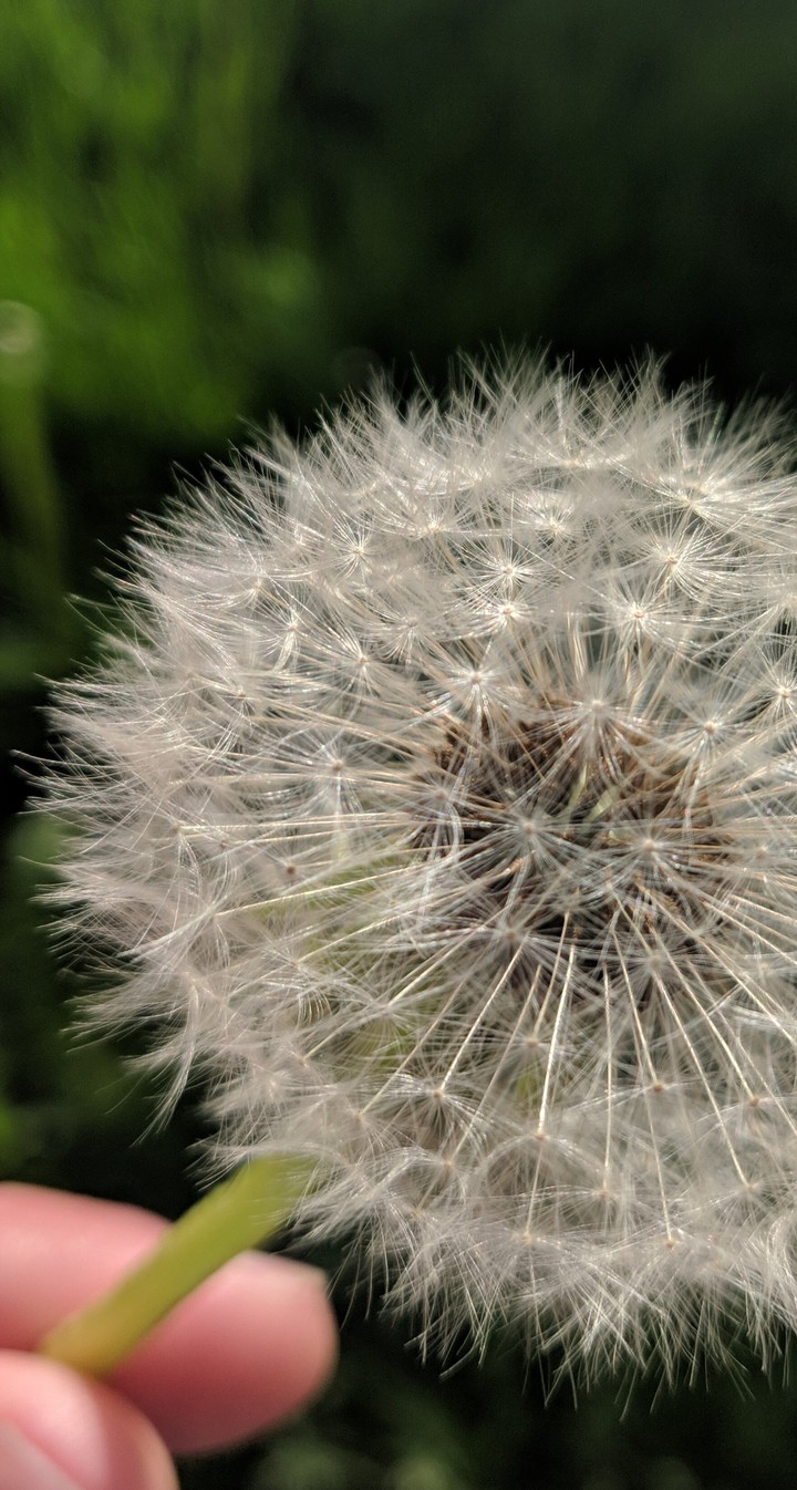 Nature