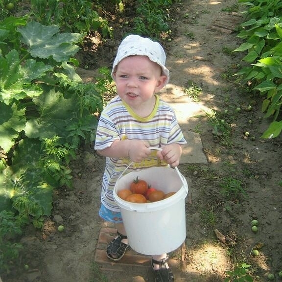 утренний сбор)