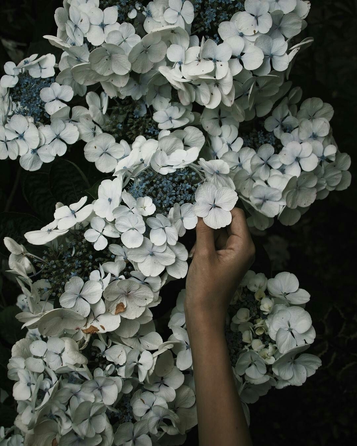 hand