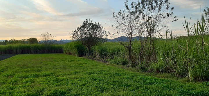 nature#pakistan