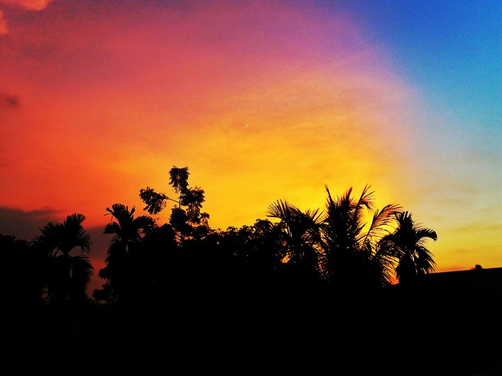 colors