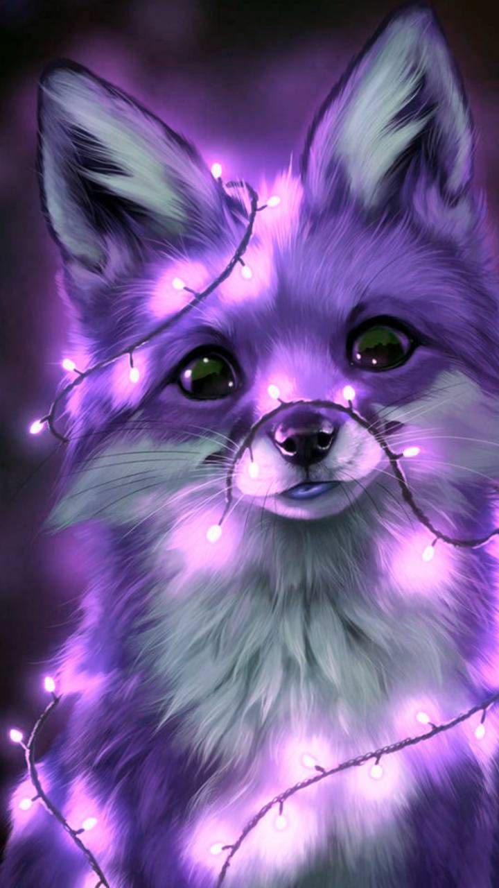 Funny Fox