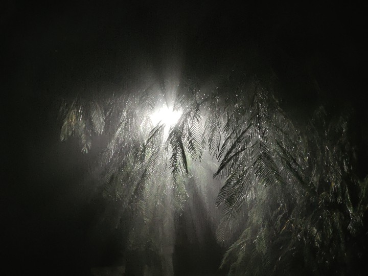 Rain Drops