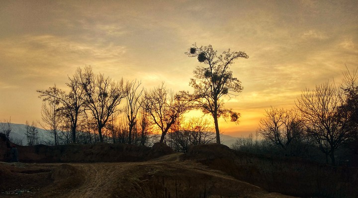 sunsets are my favorite