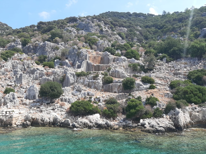 turkey
