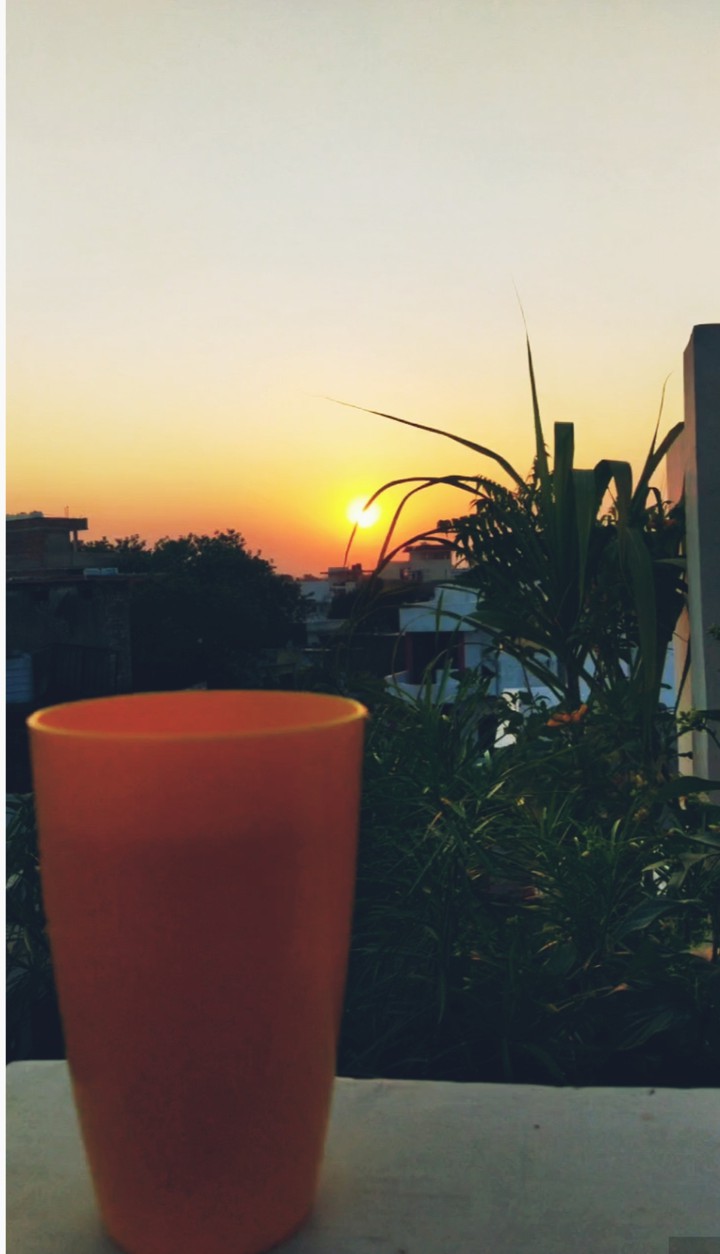 morning view