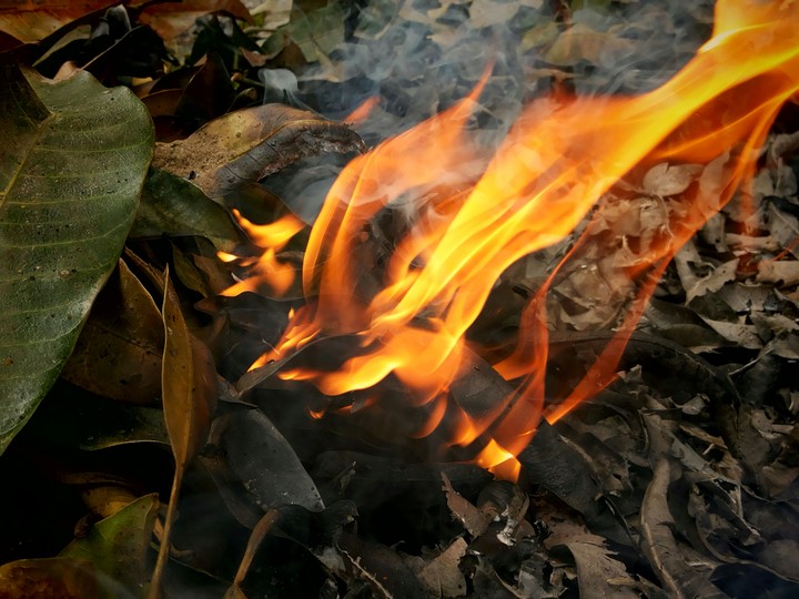 fire