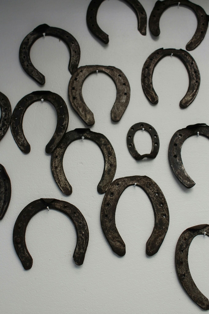 Horseshoes