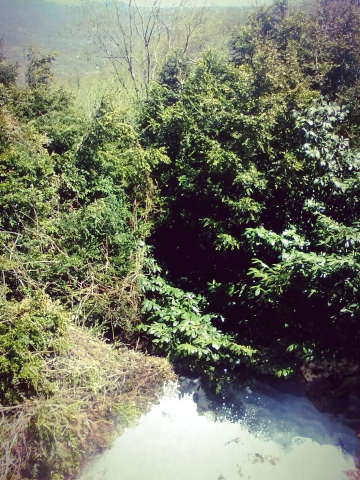 nature