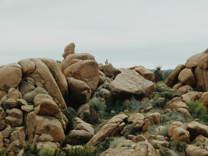 rocas