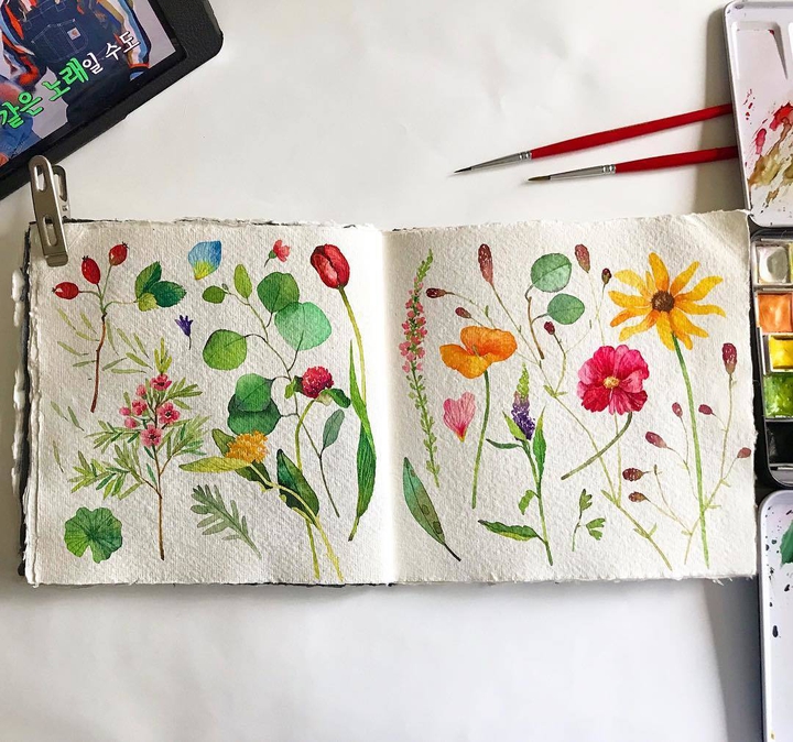 flowers