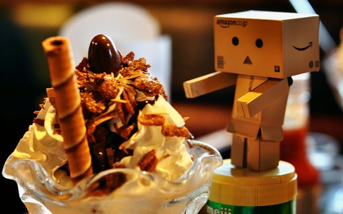 danbo