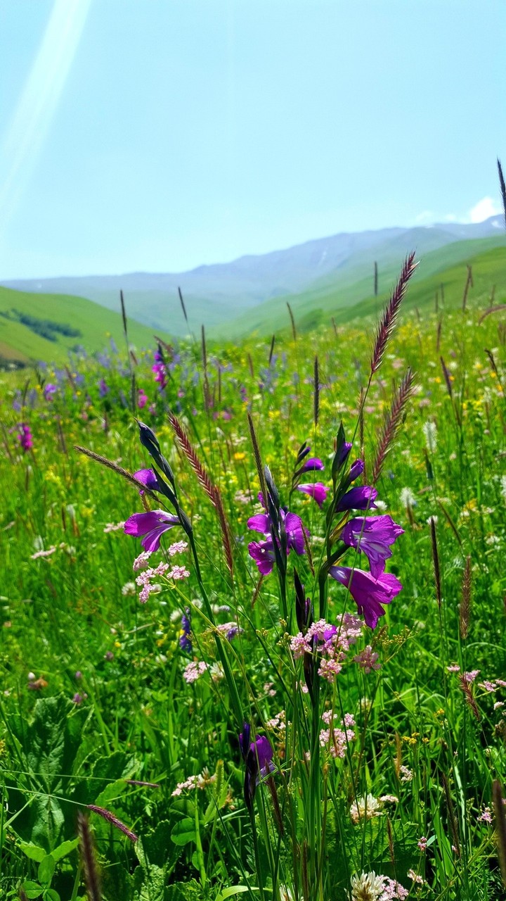 طبیعت ، سکوت ، زیبایی نقاشی خدا