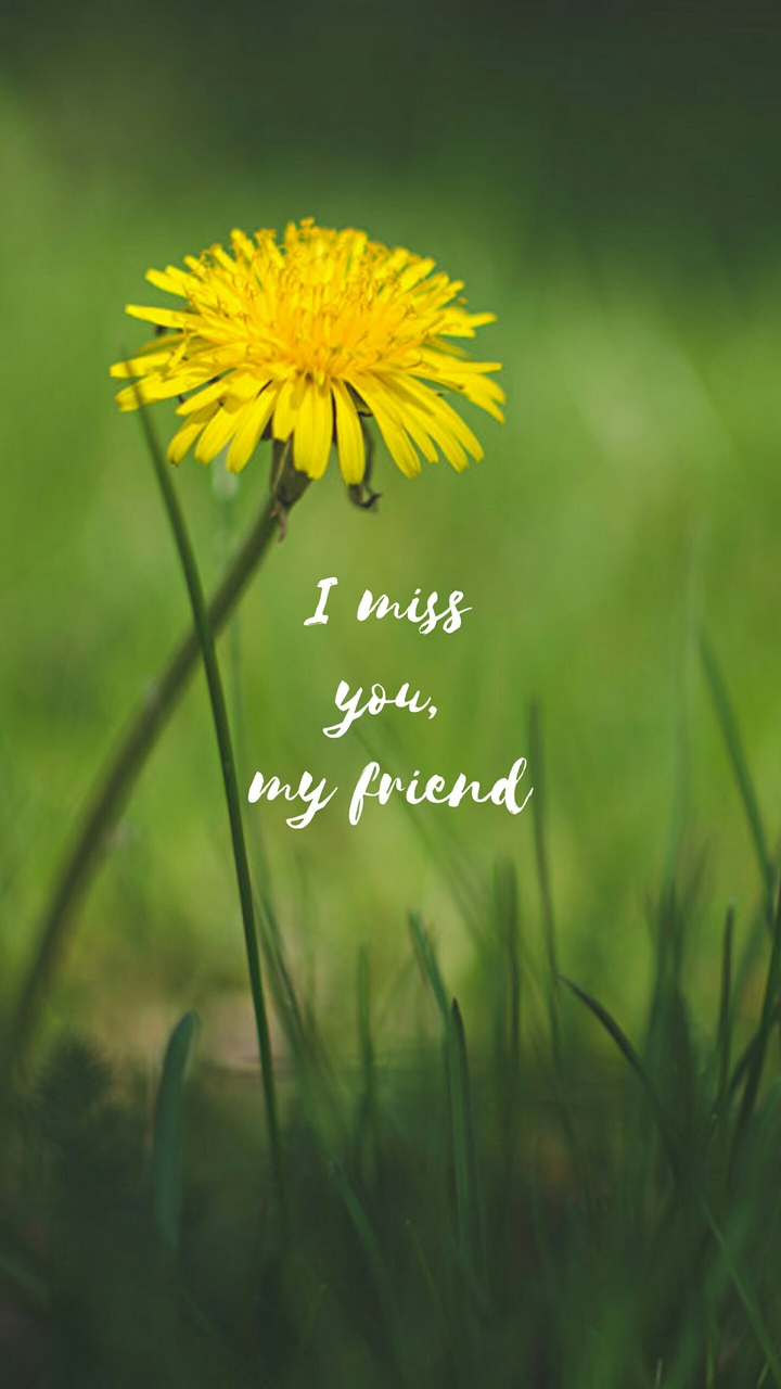 Quotes