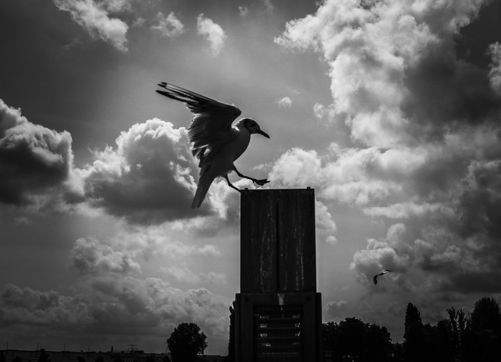 Landeanflug