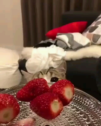 “Strawberry with yogu is so sweet?”