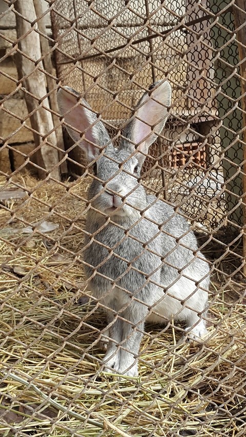 hey!