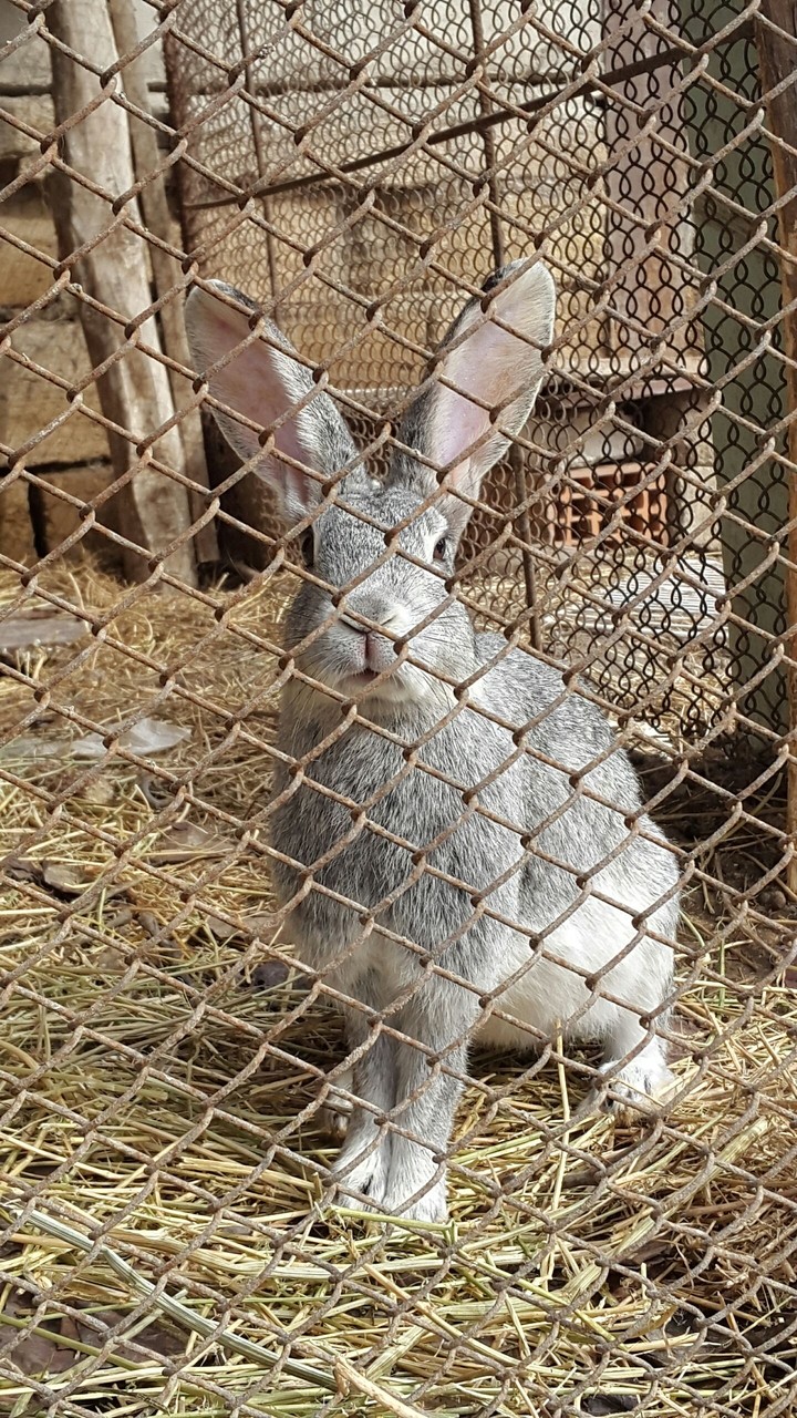 hey!