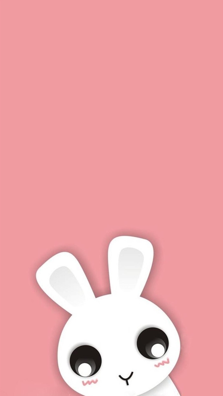 lapin