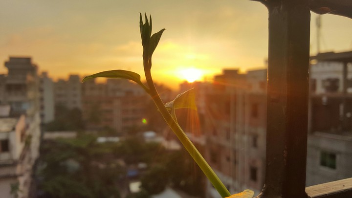 orange sun 