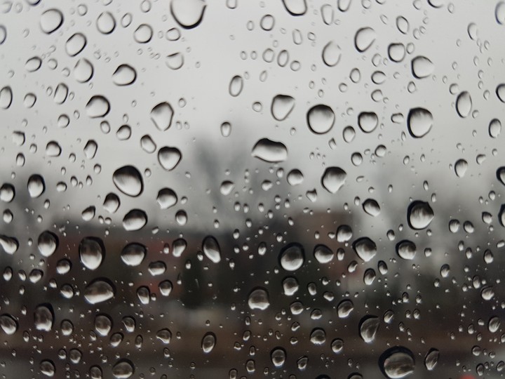 비 (rain)