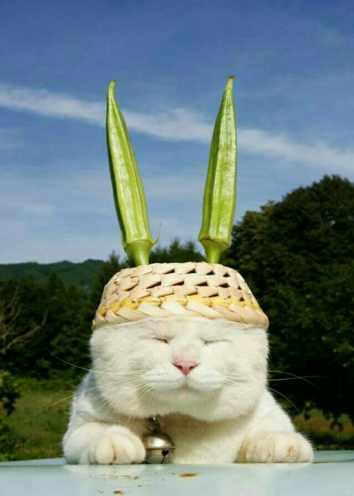 Hehe