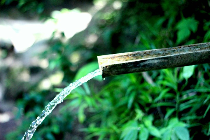 Nature