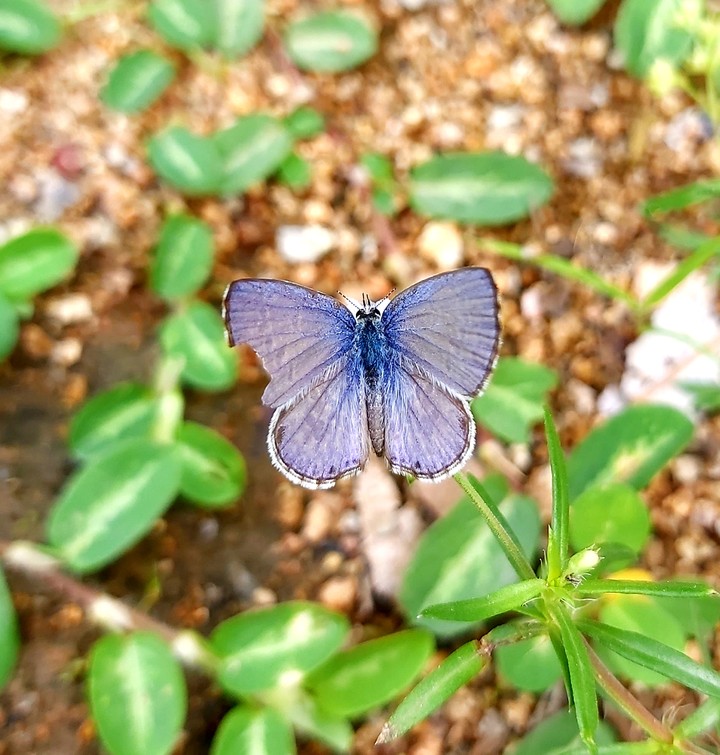 Beauty of the world