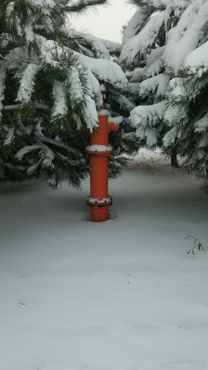 snow