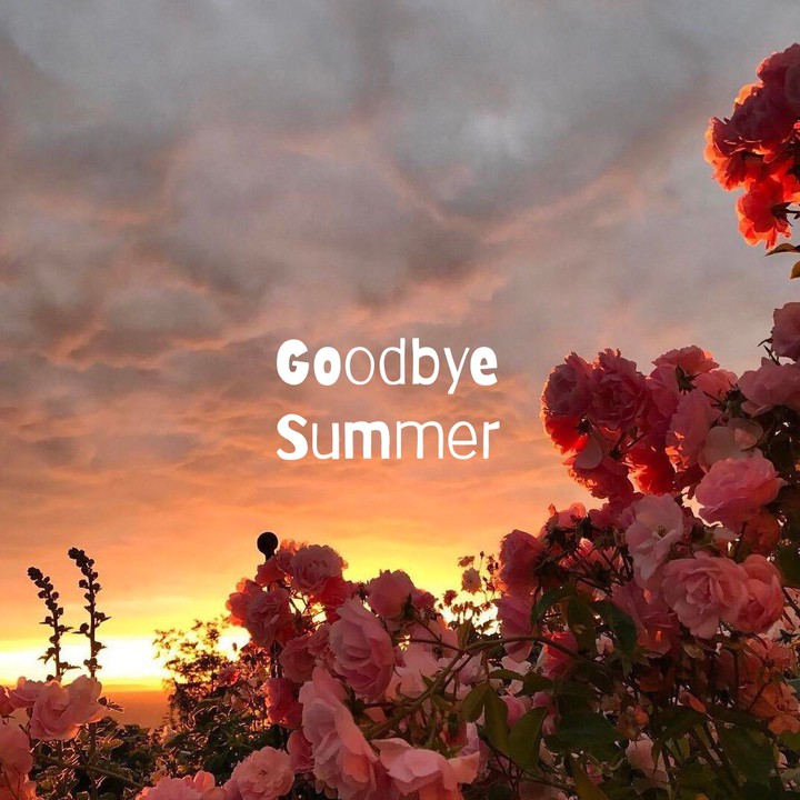 Goodbye summer