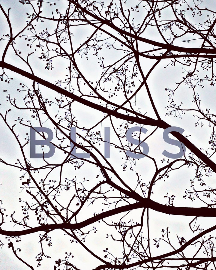 Bliss