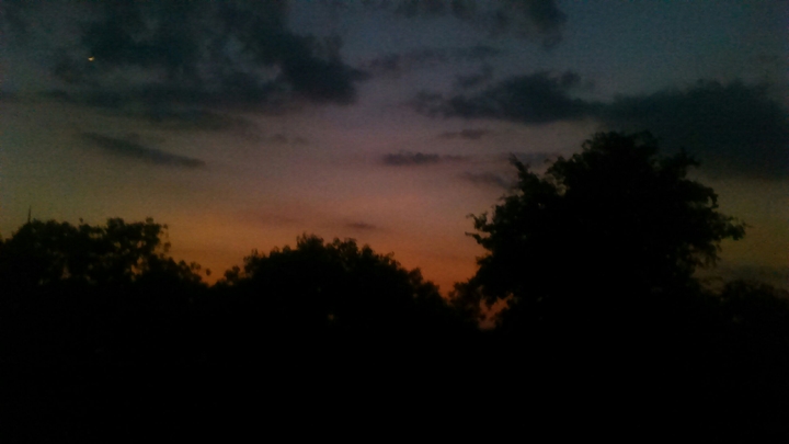 evevening love
