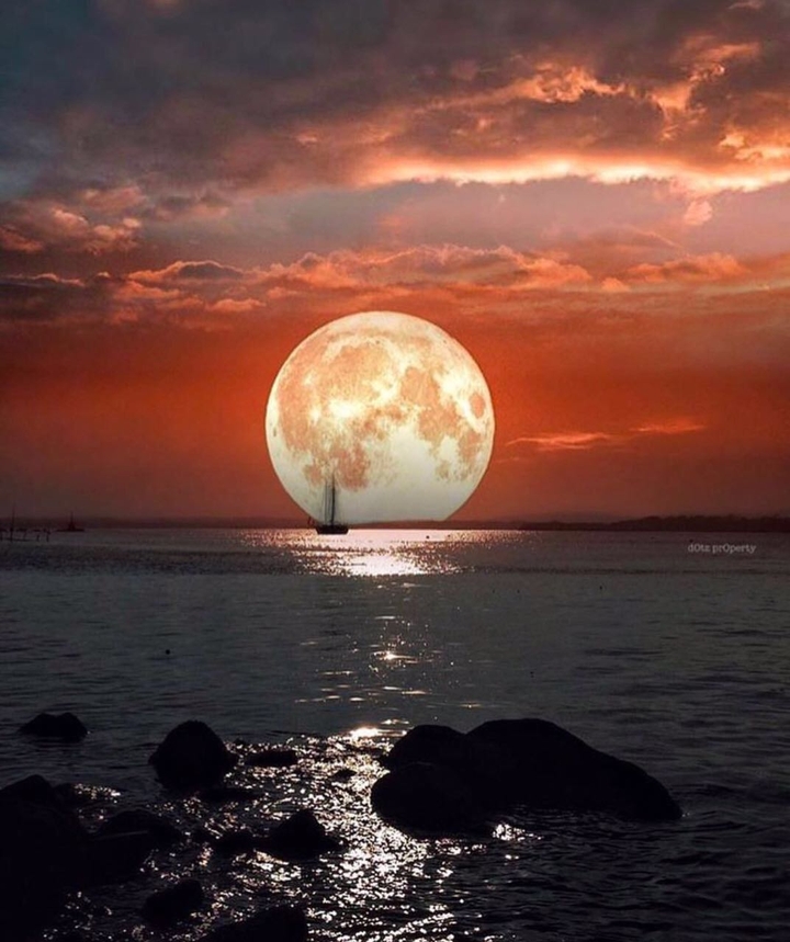 Moon