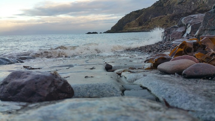 Ocean