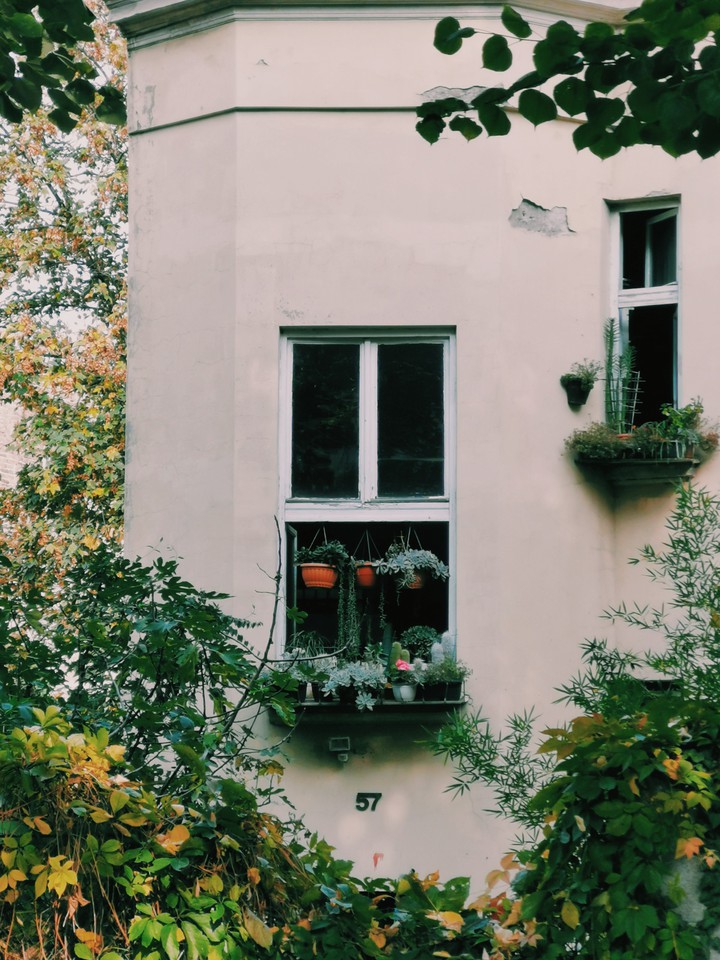 neighborhood