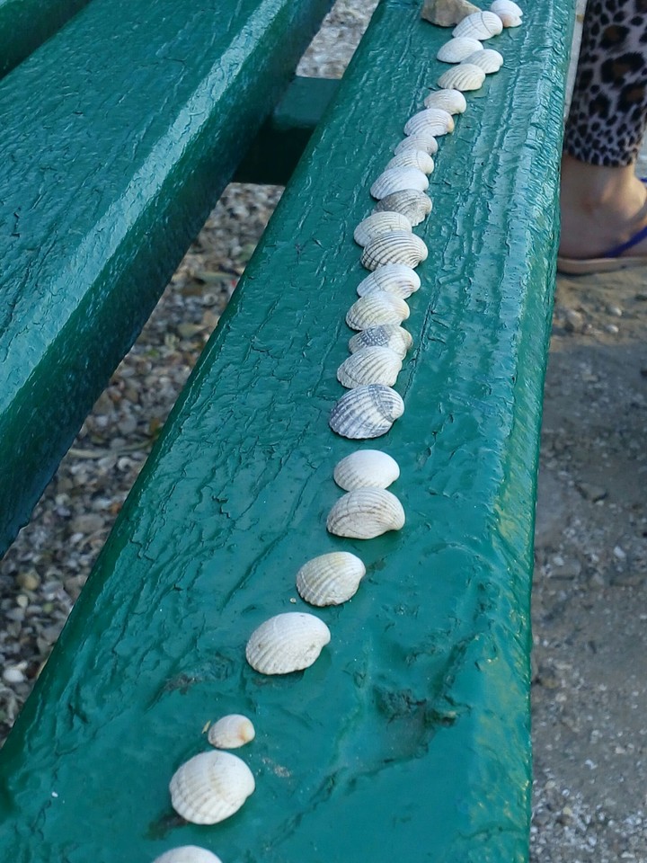 море