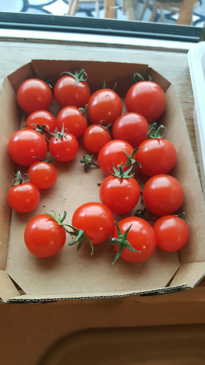 Tom ate those.